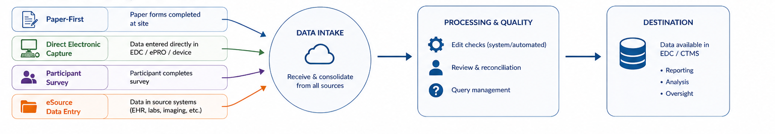 Data Entry Workflows