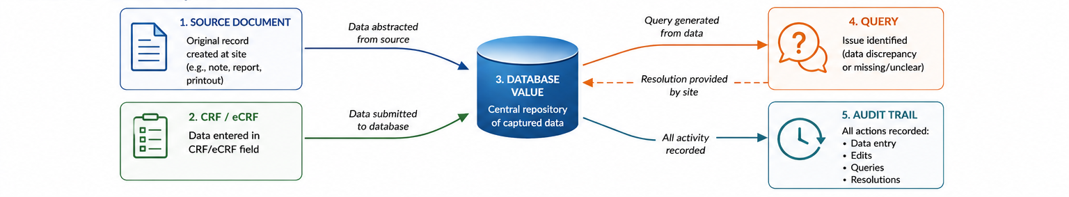 Source Documents and Source Data Verification
