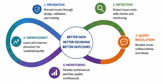 Understanding Data Quality