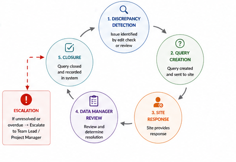 Query Management Workflow